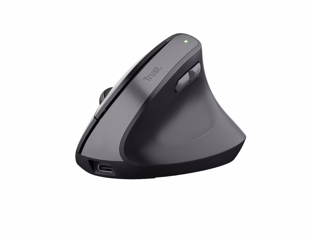 Ergonomic Wireless Mouse